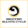 Beginner Bulking Cycle